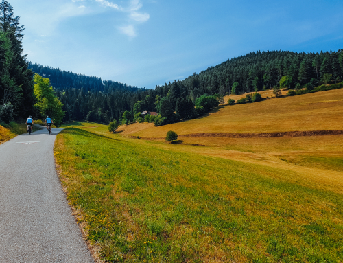 Gemeinsam unterwegs: After-Work-Radtour durch den Schwarzwald